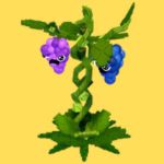 Grape - Plants vs Brainrots Plants Mythic